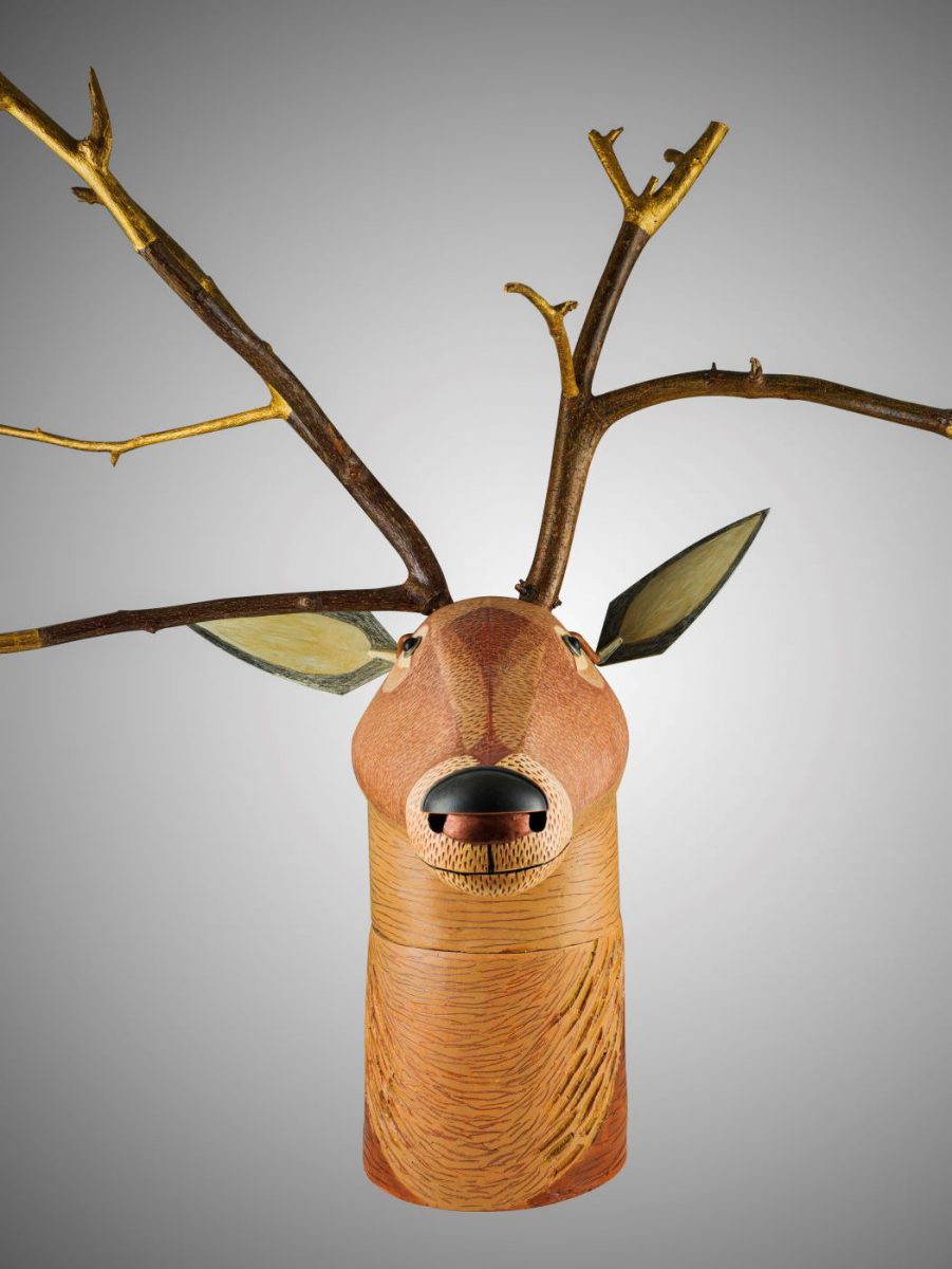 timid-horned-brown-decent-deer