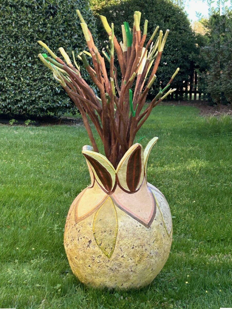 Plant Life